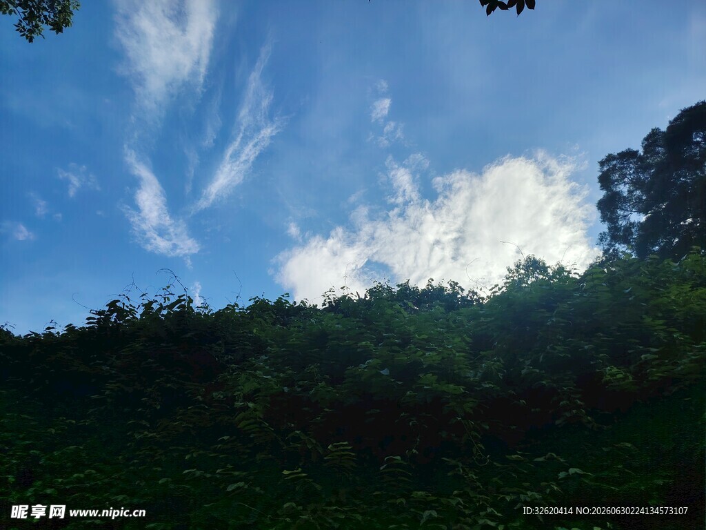蓝天绿树间的美好景致