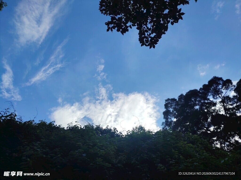蓝天绿树间的自然景致
