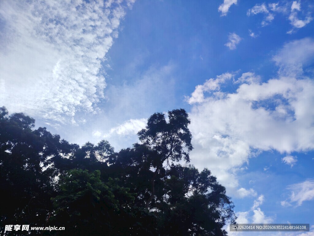 蓝天绿树间的清新景致