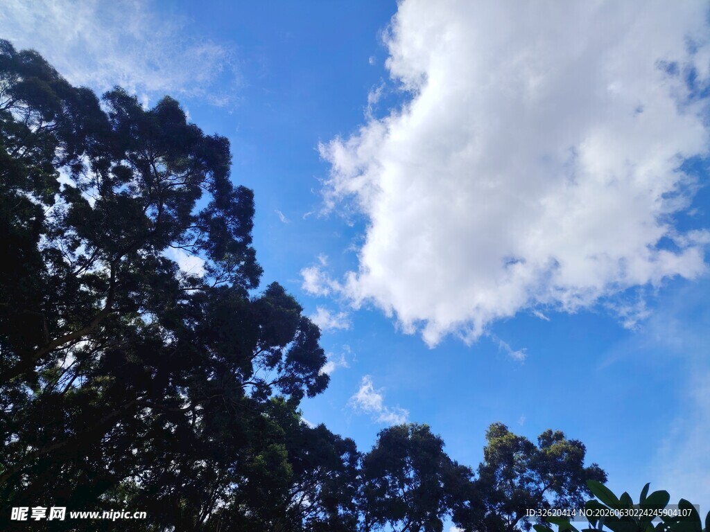 蓝天绿树间的白云美景