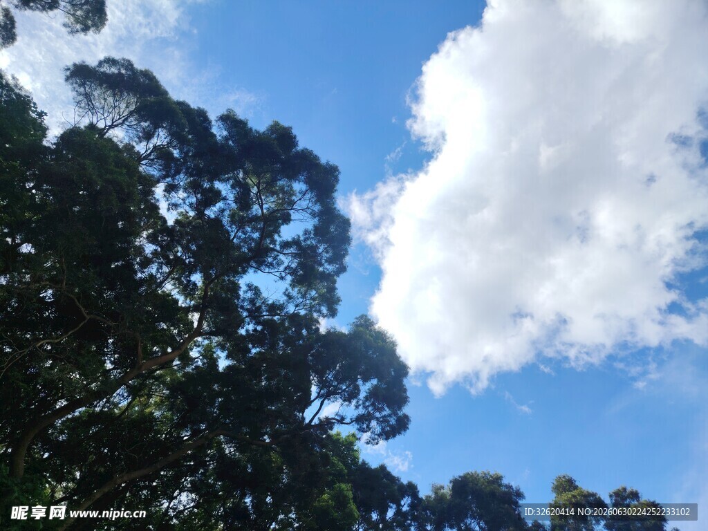 蓝天绿树间的白云美景