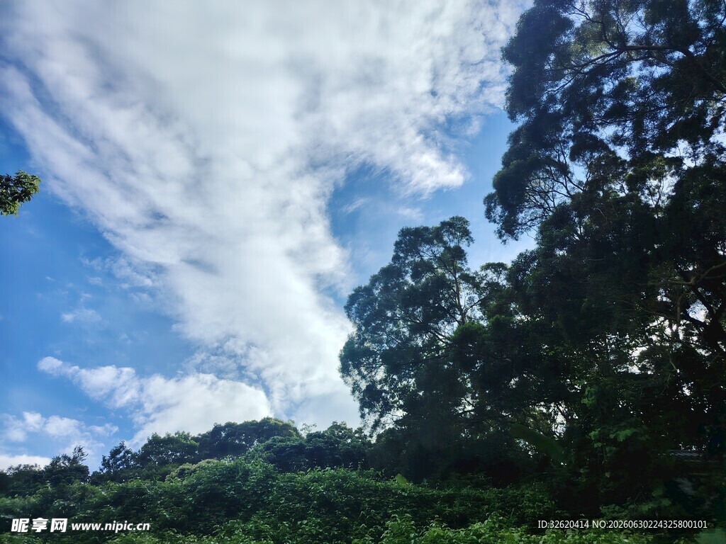 蓝天白云下的葱郁山林