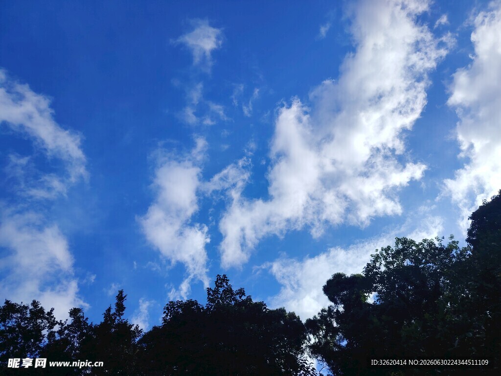 蓝天绿树间的白云美景