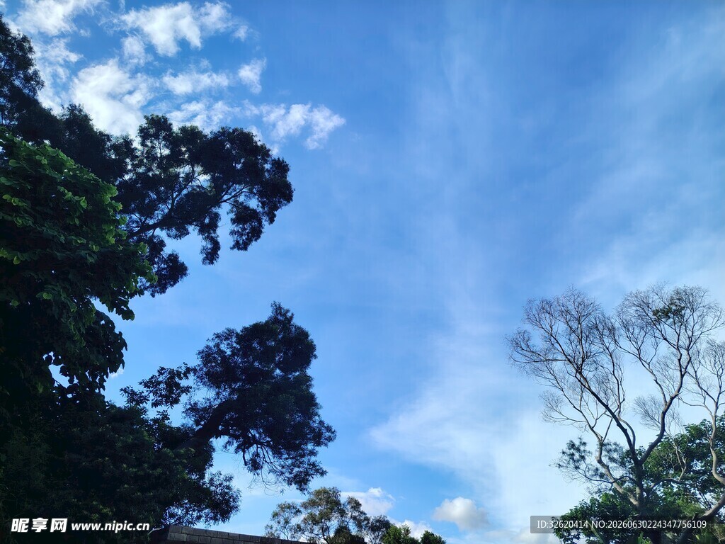 蓝天绿树间的自然景致