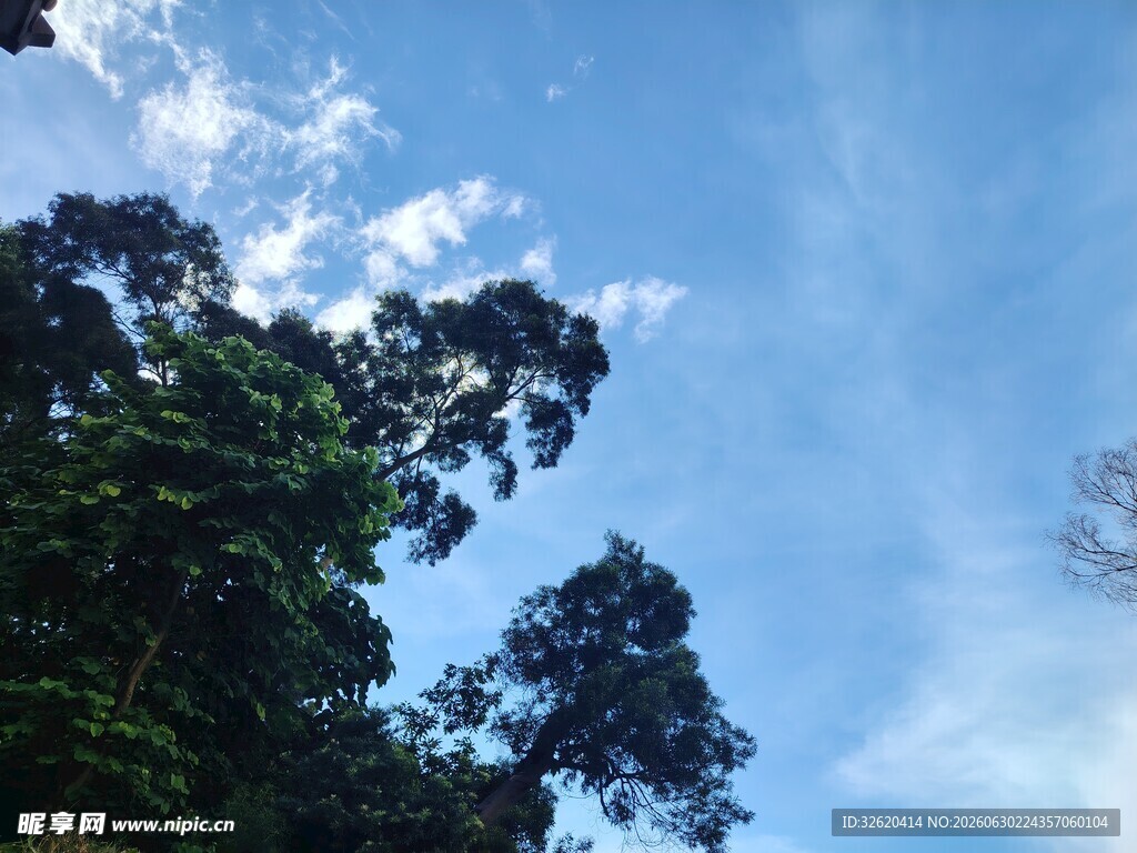 蓝天绿树