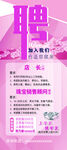 美容机构招聘启事
