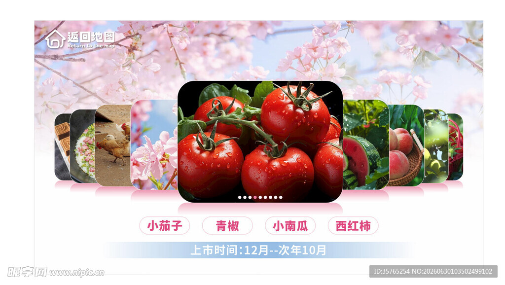 新鲜多样蔬菜展示海报展板水果