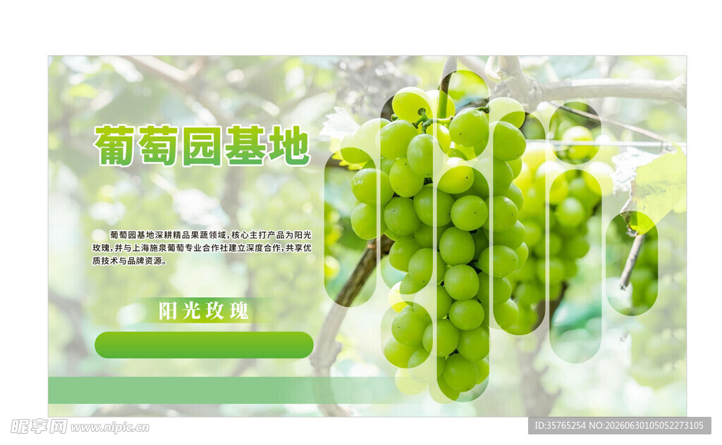葡萄园基地农场海报展板阳光玫瑰