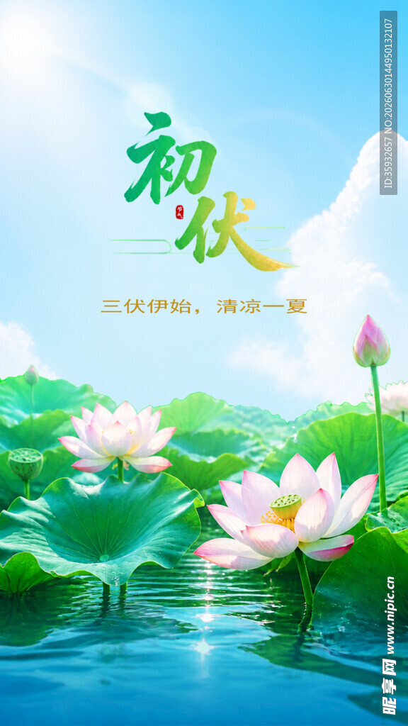 夏日荷塘美景初伏节气手机海报