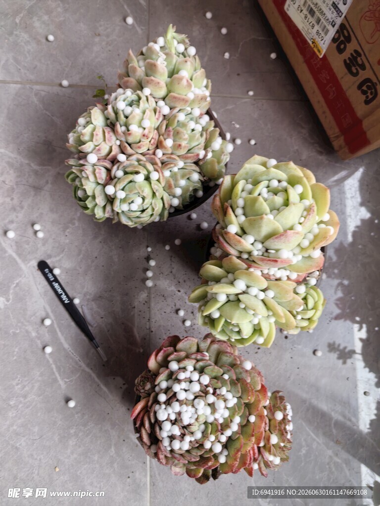 美味多彩的特色糕点