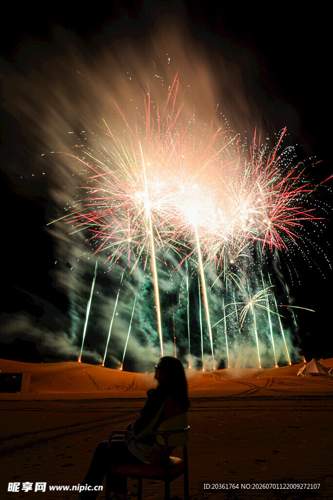 夜空中绚烂的烟花与人影