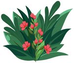 鲜艳花卉与绿叶植物组合