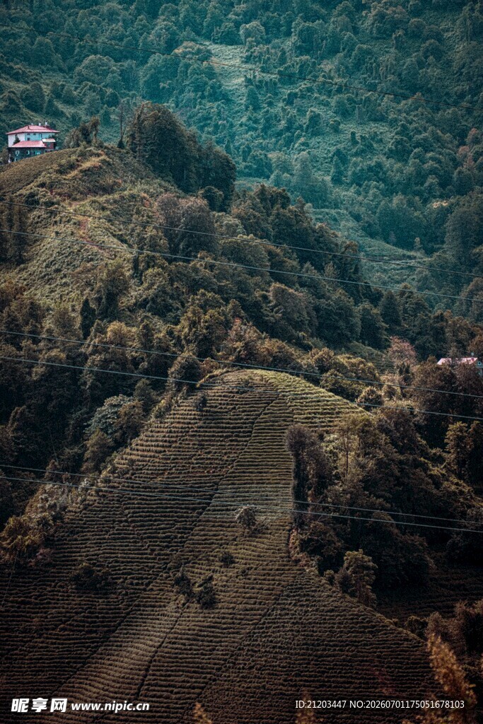 山间美景绿意盎然的丘陵