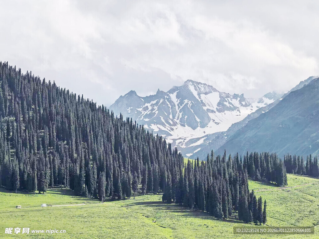 山