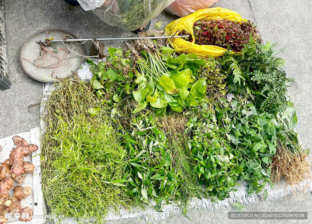 草药