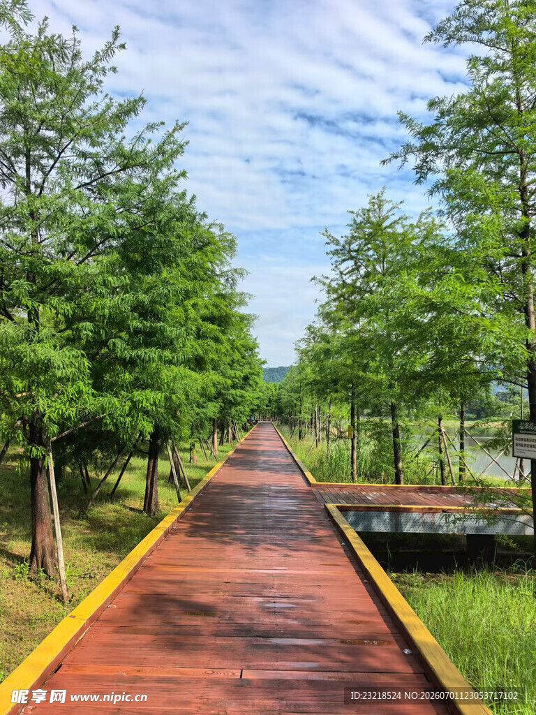林间小道