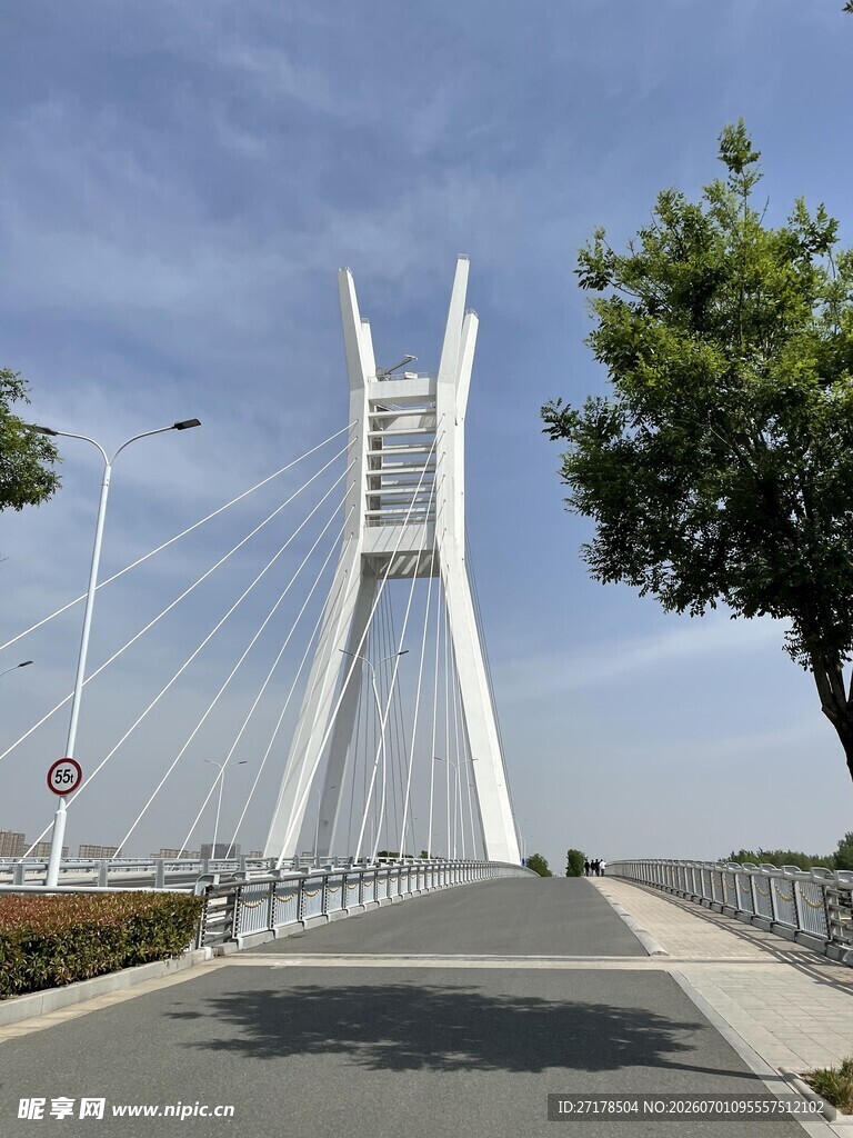 现代风格斜拉桥风景