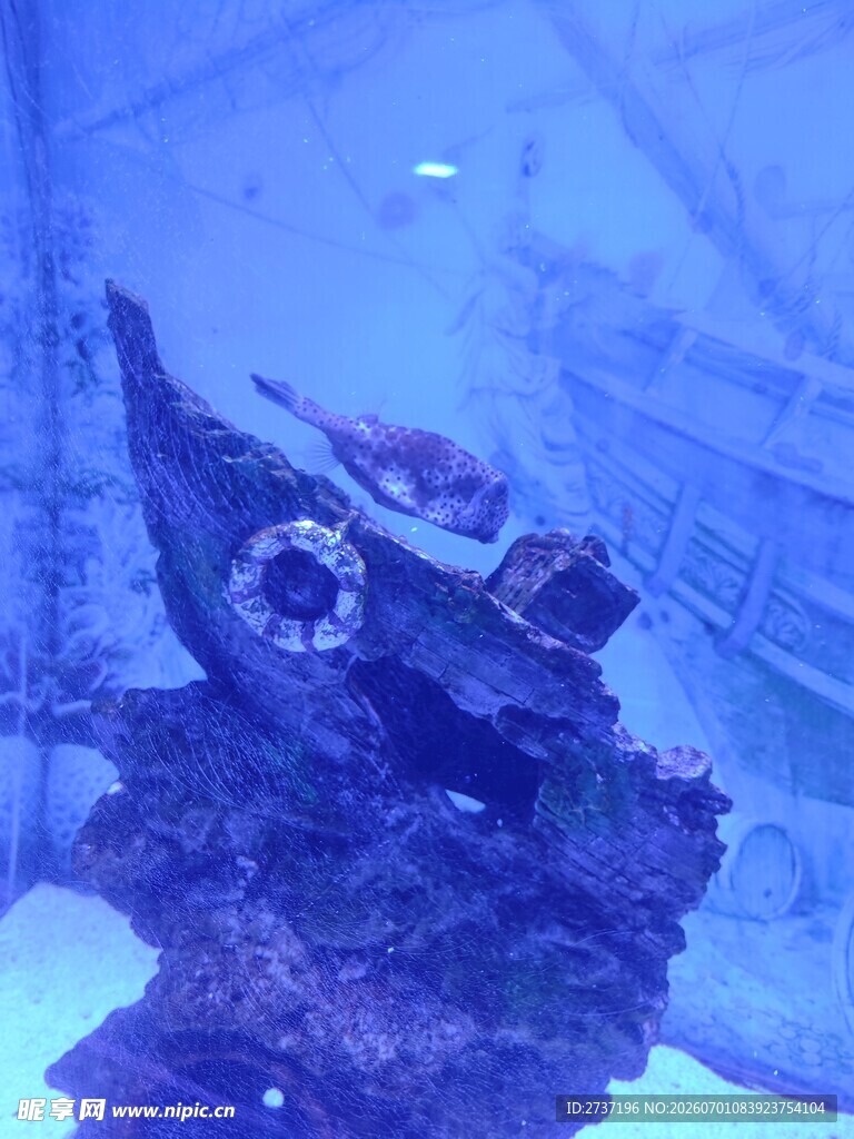 海底沉船残骸