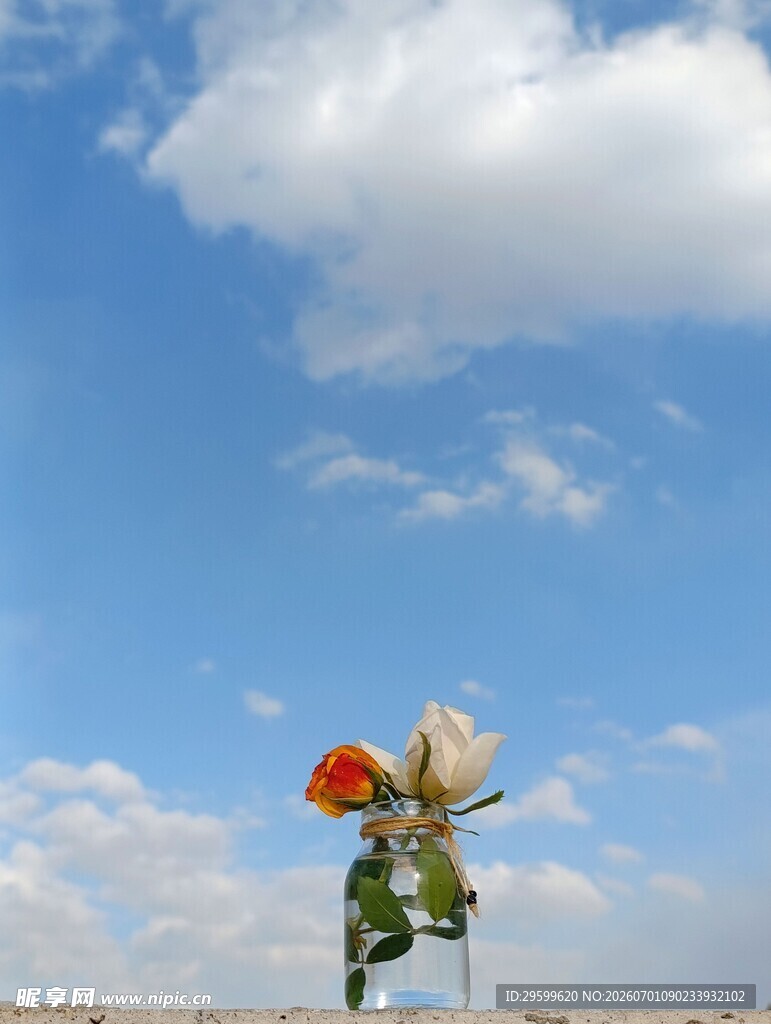 手持花束的背影与蓝天白云