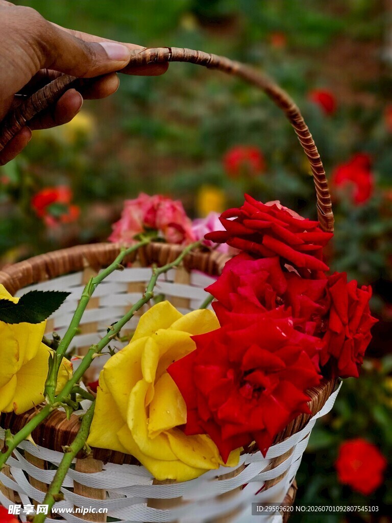 手捧野花篮 