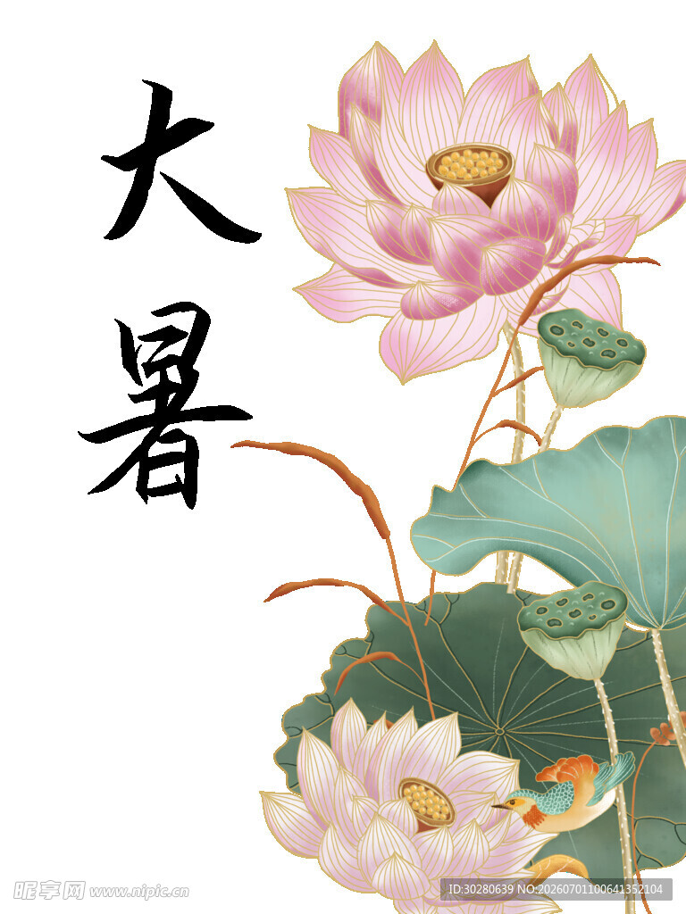 大暑节气           