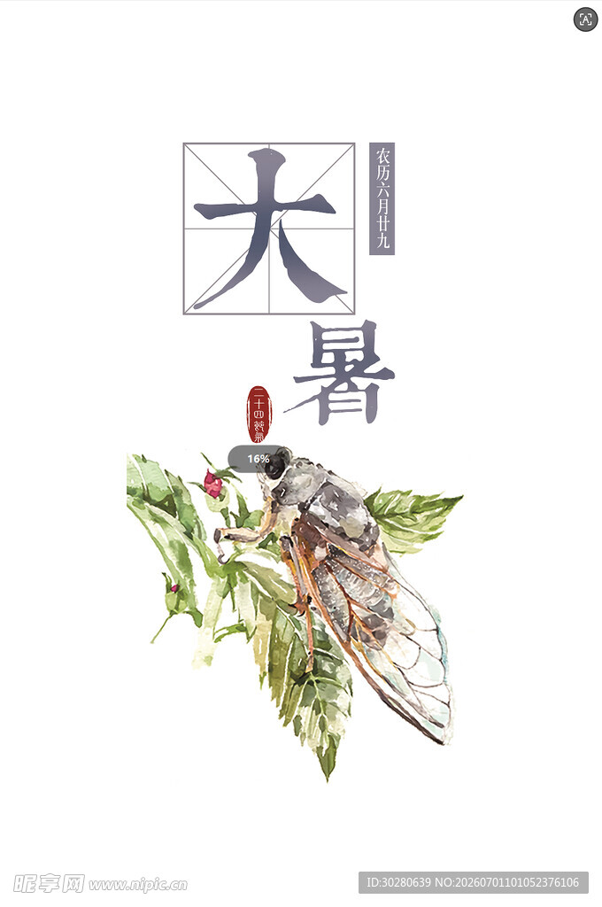 大暑节气           
