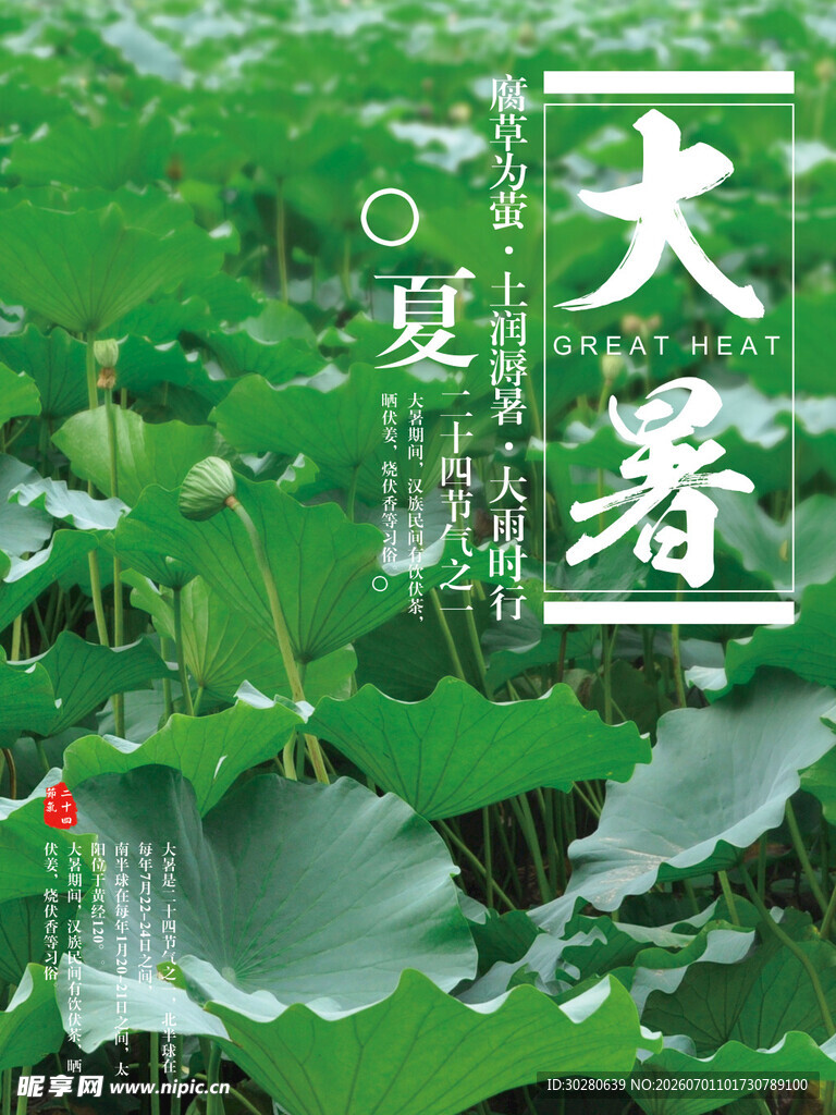 大暑节气           