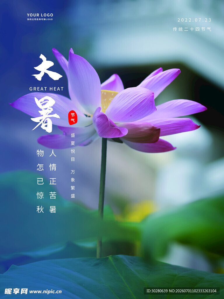 大暑节气           