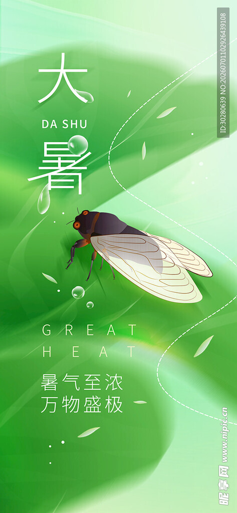 大暑节气           