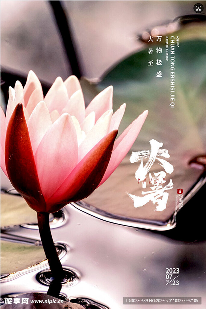 大暑节气           