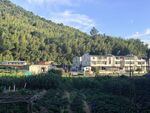 山间村落建筑风光