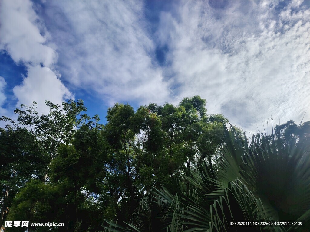 蓝天绿树间的自然景致