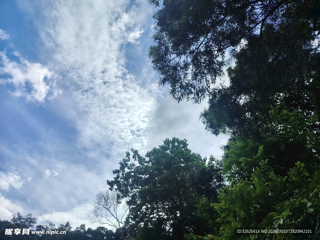 林间蓝天