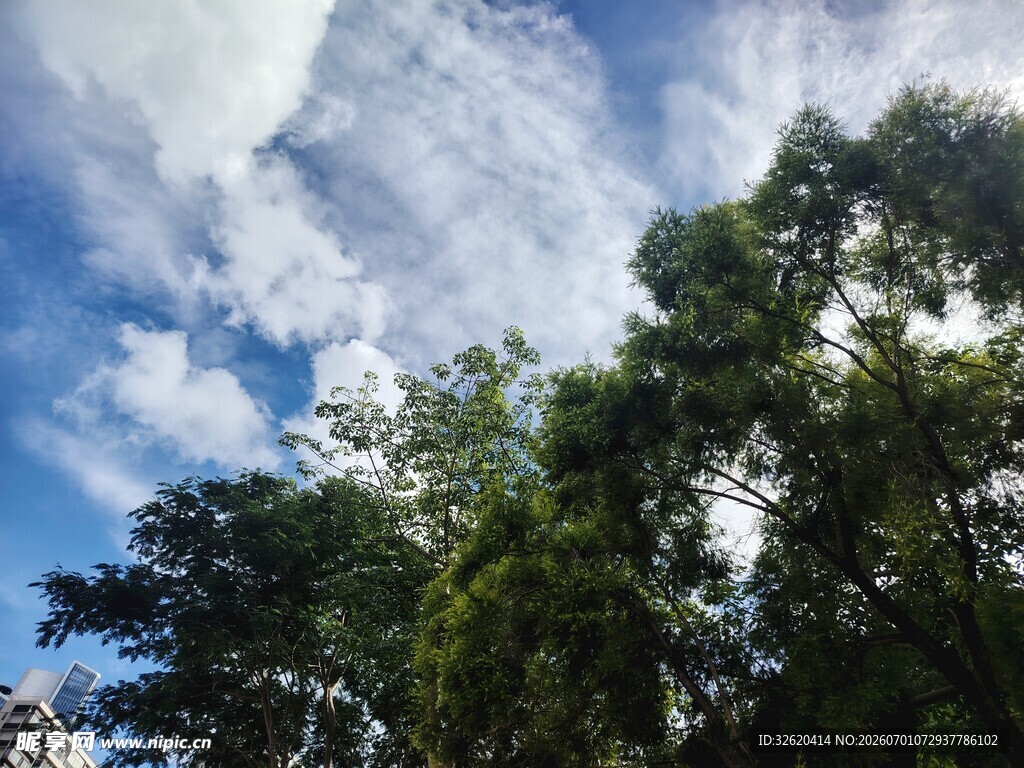 蓝天绿树间的清新景致