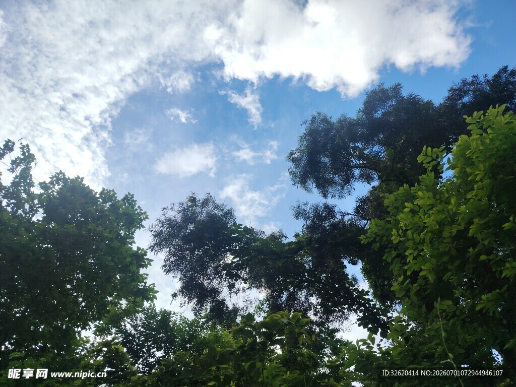 蓝天绿树间的自然景致