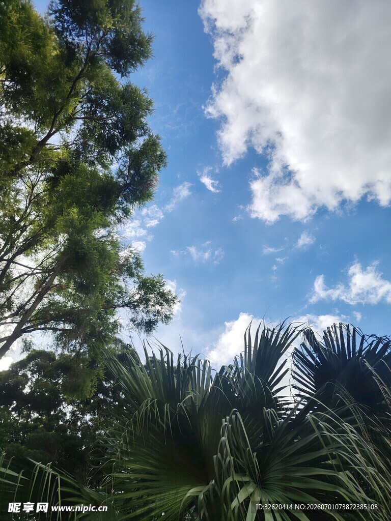 蓝天绿树间的自然景致