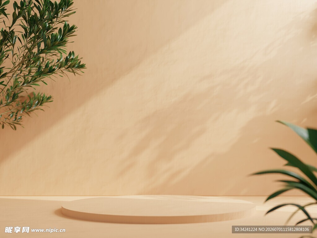 简约植物装饰的展示空间