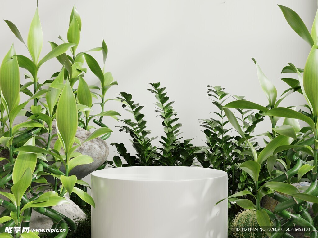 室内绿植盆栽清新景致