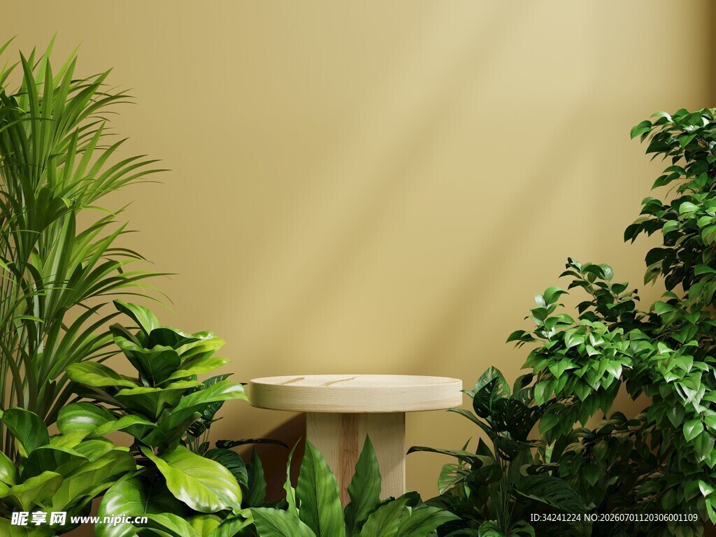 室内绿植与简约小桌景观