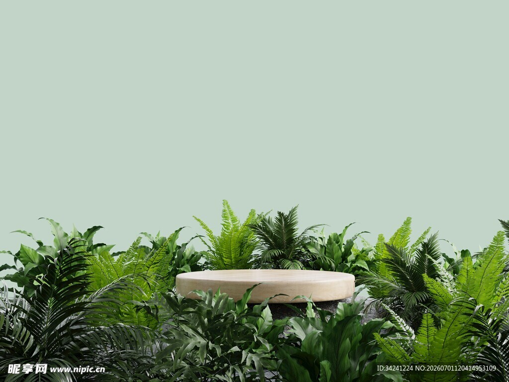 绿植中的圆形木质平台