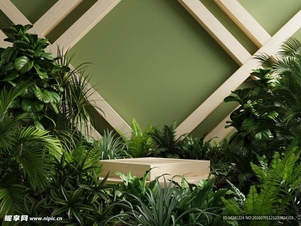 绿植环绕的几何装饰空间