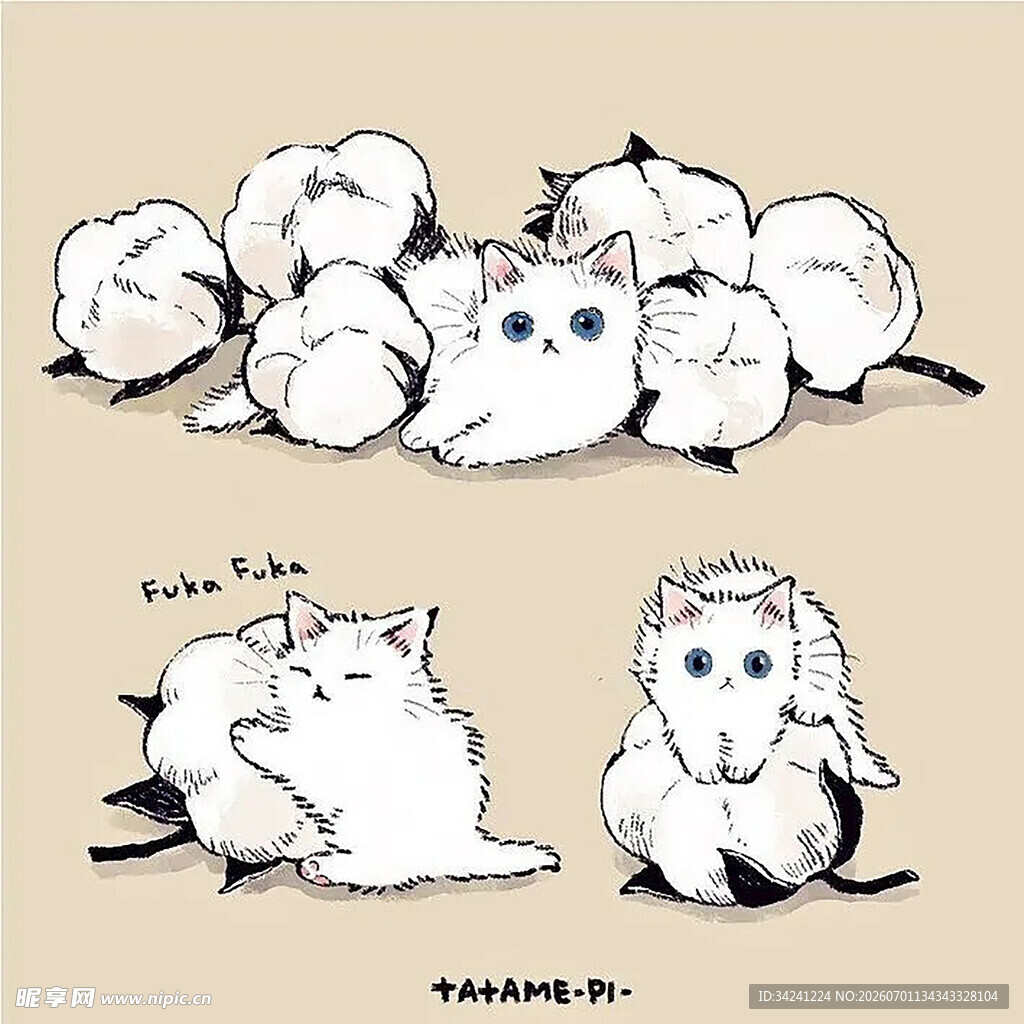 可爱猫咪的多样萌态