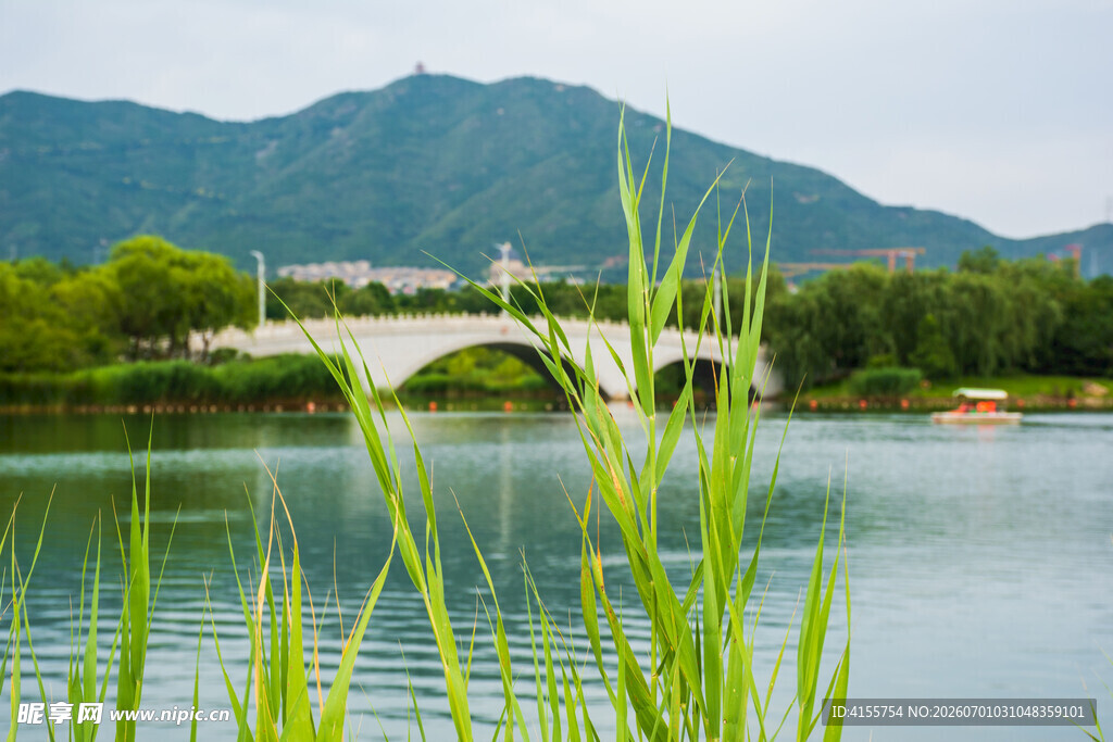 湖畔拱桥映青山美景