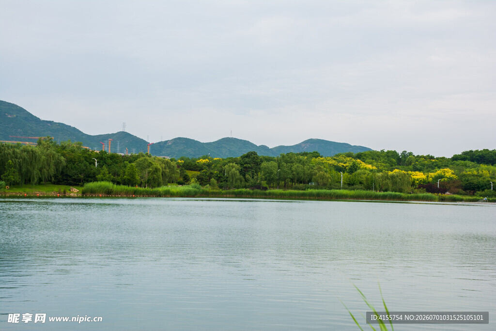 宁静湖畔的自然美景