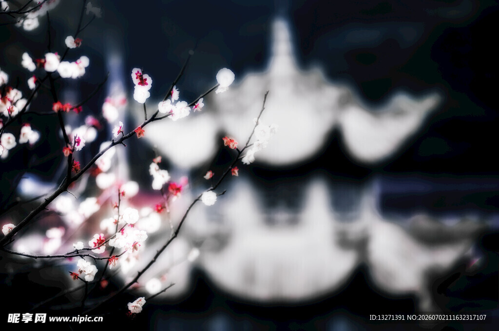 夜下繁花与朦胧古建筑