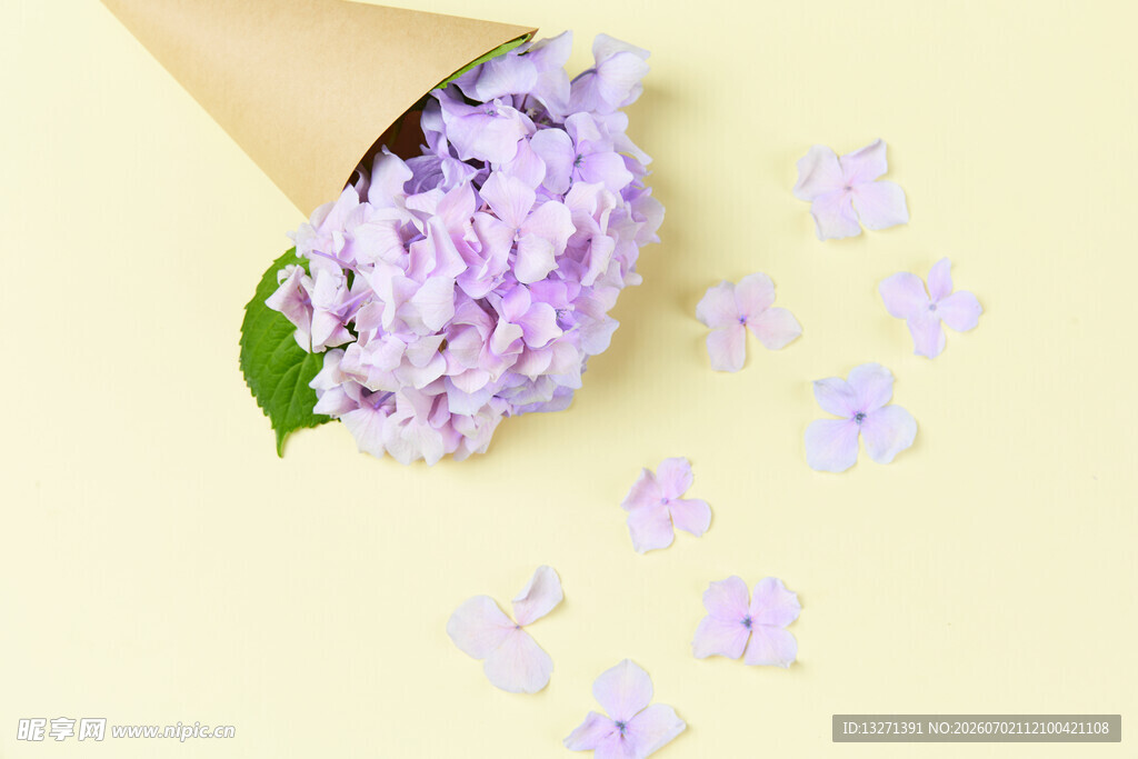 紫色绣球花束散落花瓣