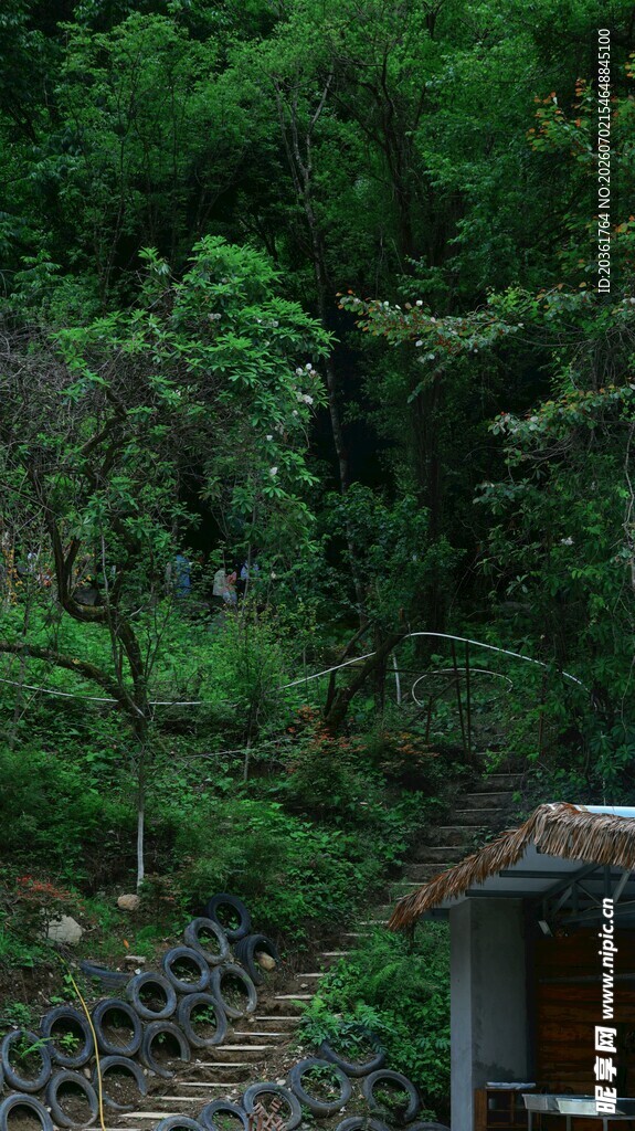 山林中的小屋与绿植景观