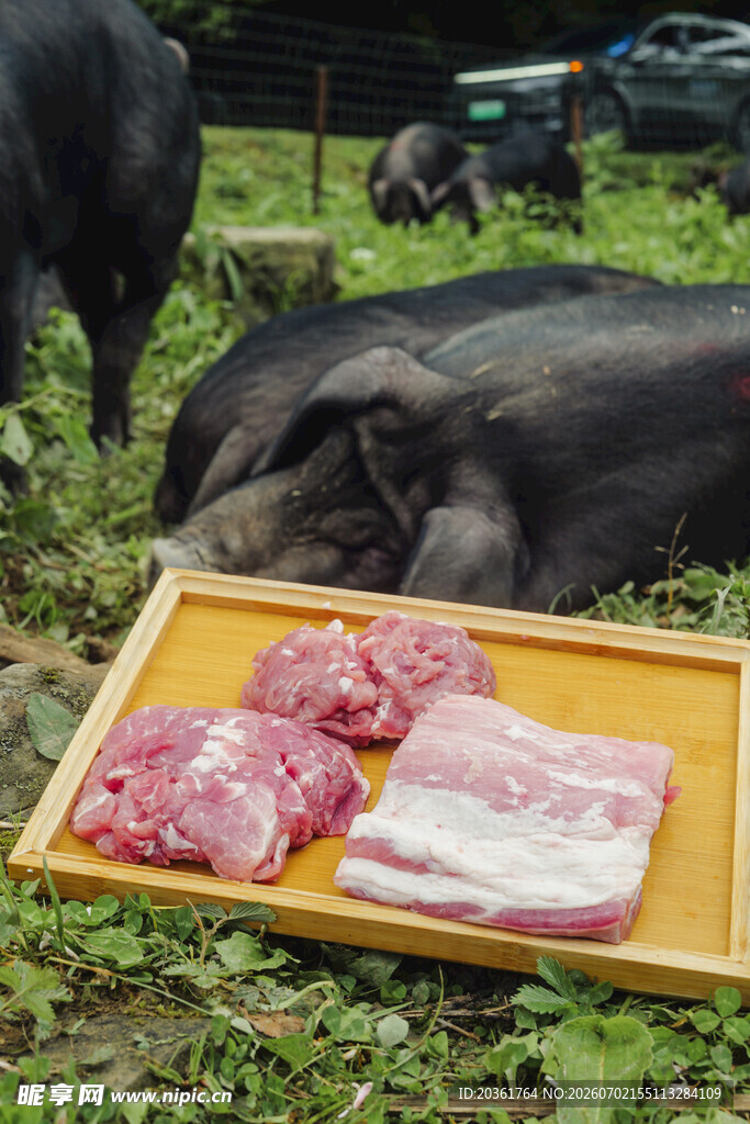 田野边的新鲜猪肉展示
