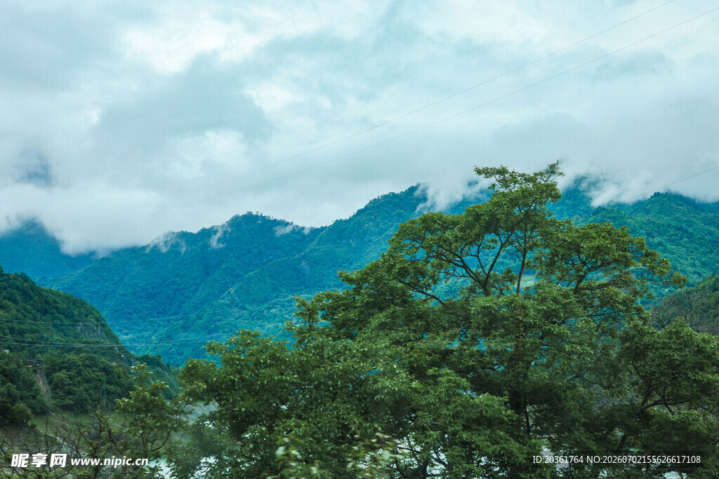 青山绿树间的云雾美景