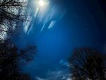 夜空下的树木与皎洁月光